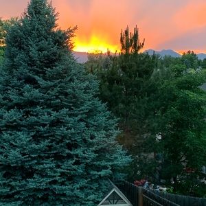 Meet your Posher, Tim